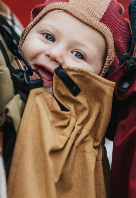 Sun Kisses Harvest Cover 5